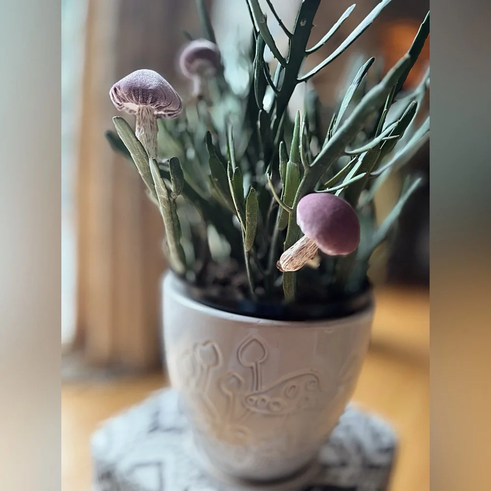 Mushrooms Plant Accessories